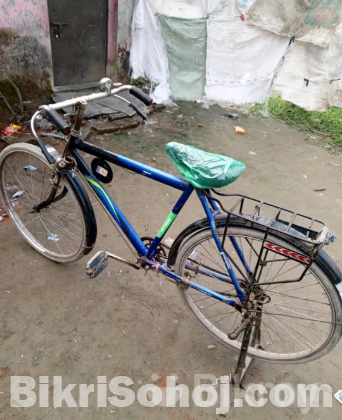 Cycle